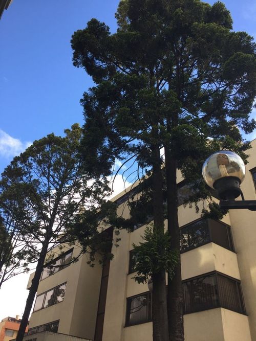 Edificio en venta en Malibu, Bogotá - Miniatura 2