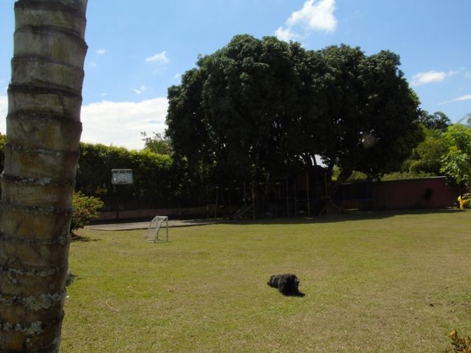 Finca en arriendo en Combia, Pereira - Miniatura 6
