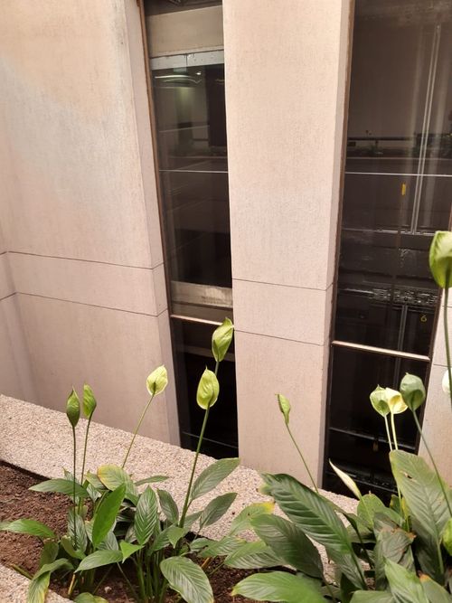 Oficina en  Arriendo en Porciuncula, Bogotá - Miniatura 19