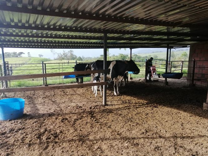 Finca en  Venta en Guadalupe - Miniatura 5