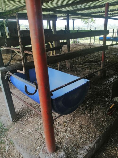 Finca en  Venta en Guadalupe - Miniatura 7