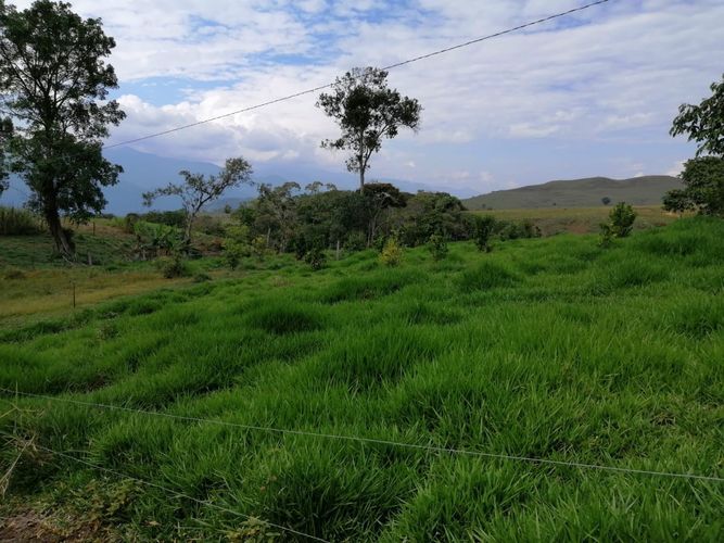 Finca en  Venta en Guadalupe - Miniatura 8