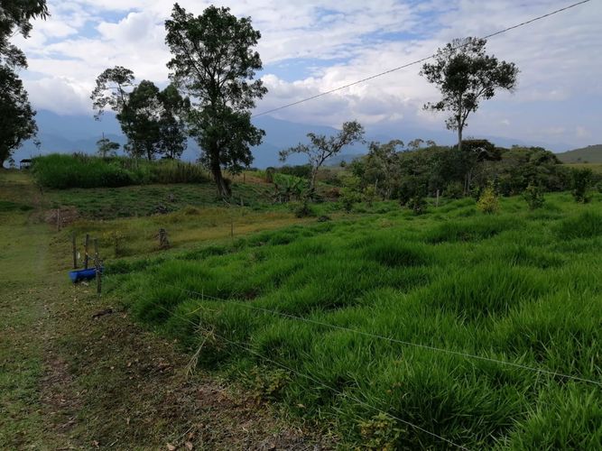 Finca en  Venta en Guadalupe - Miniatura 10