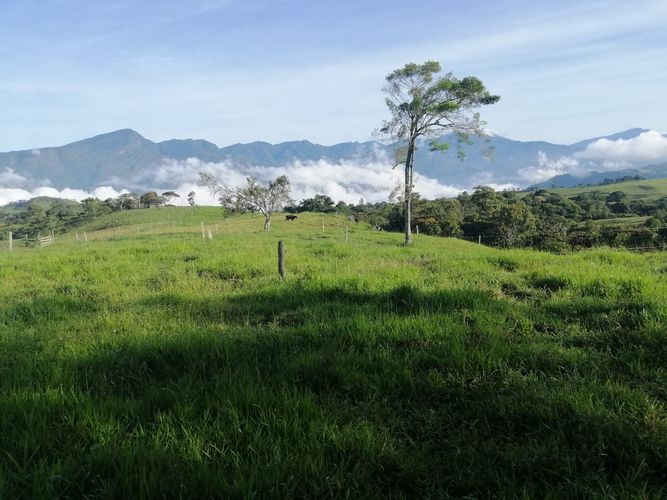 Finca en  Venta en Guadalupe - Miniatura 12