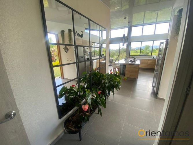 Finca en  Arriendo en El carmen de viboral - Miniatura 7