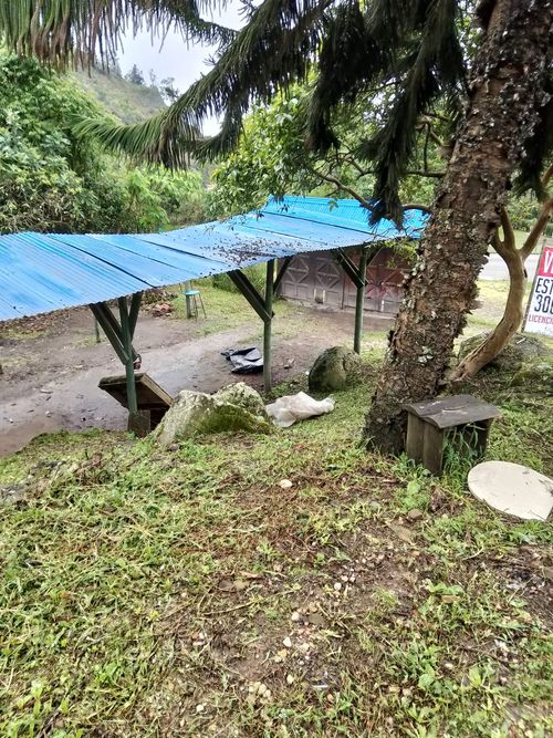 Finca en Venta en San francisco - Miniatura 5