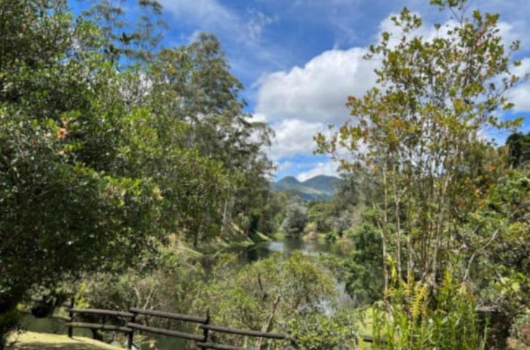 Finca en  Arriendo en Llano Grande, Rionegro - Miniatura 6