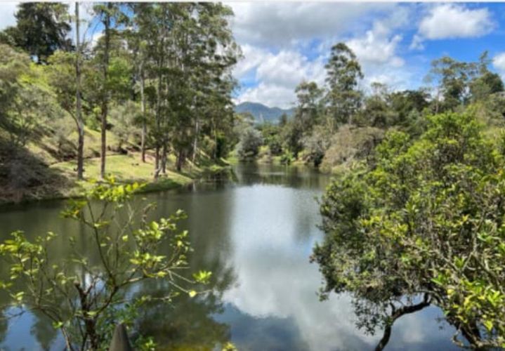 Finca en  Arriendo en Llano Grande, Rionegro - Miniatura 7