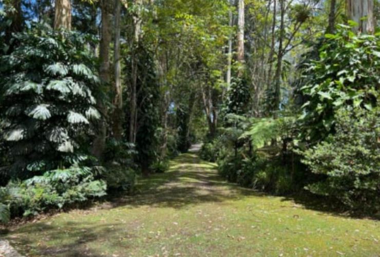Finca en  Arriendo en Llano Grande, Rionegro - Miniatura 8