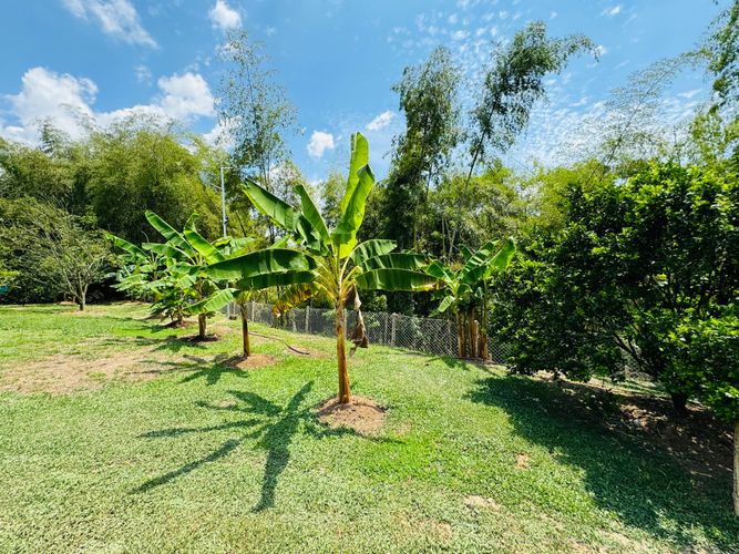 Casa en Venta en Pueblito Cafetero, Pereira - Miniatura 27