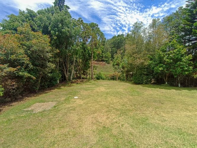 Finca en  Arriendo en La mosquita, Guarne - Miniatura 22