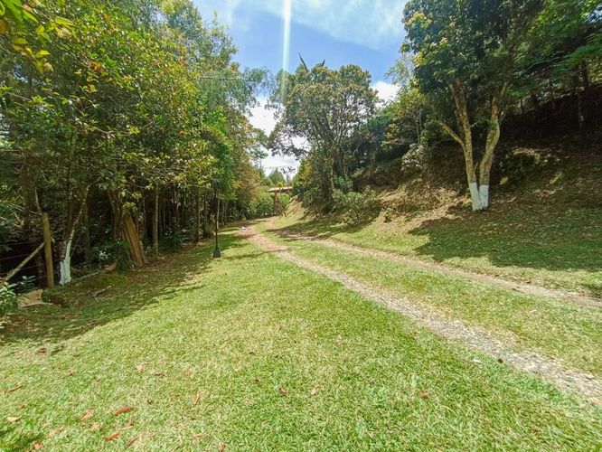 Finca en  Arriendo en La mosquita, Guarne - Miniatura 23