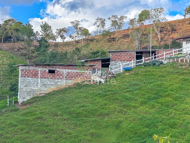 Finca en Venta en Guarne - Miniatura 16