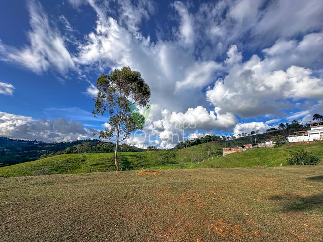 Finca en Venta en Guarne - Miniatura 23