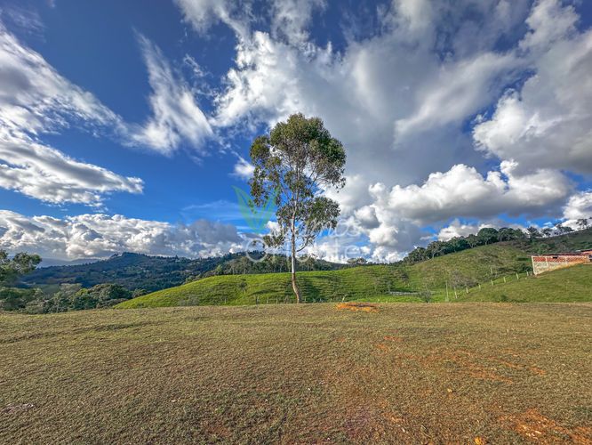 Finca en Venta en Guarne - Miniatura 24