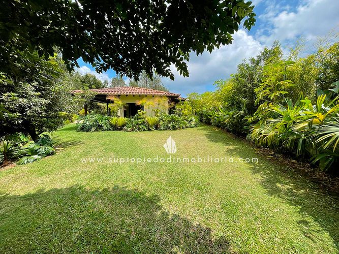 Finca en  Arriendo en El carmen de viboral - Miniatura 5