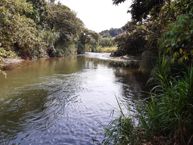 Finca en Venta en Belén de Umbría - Miniatura 6