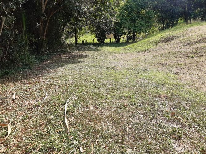 Finca en Venta en Belén de Umbría - Miniatura 7