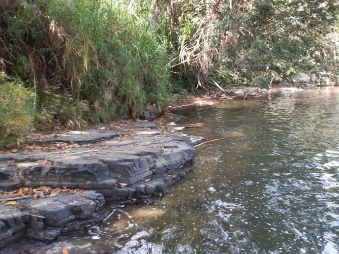 Finca en Venta en Belén de Umbría - Miniatura 8