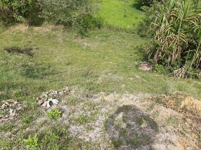 Finca en Venta en Belén de Umbría - Miniatura 9