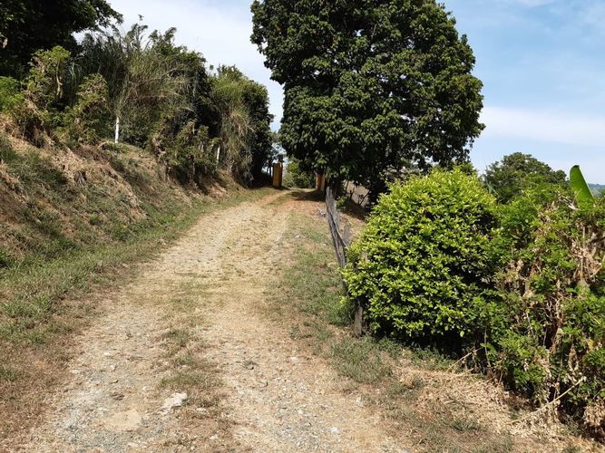 Finca en Venta en Belén de Umbría - Miniatura 10