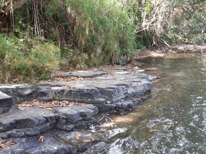 Finca en Venta en Belén de Umbría - Miniatura 12