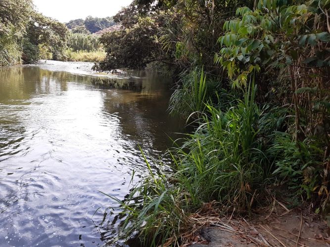 Finca en Venta en Belén de Umbría - Miniatura 15