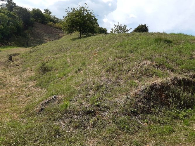 Finca en Venta en Belén de Umbría - Miniatura 17