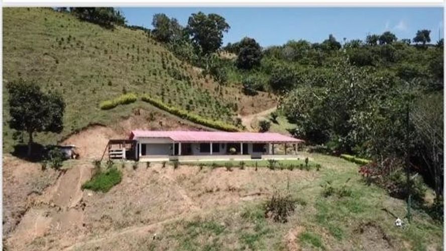 Finca en Venta en Anserma - Imagen 1