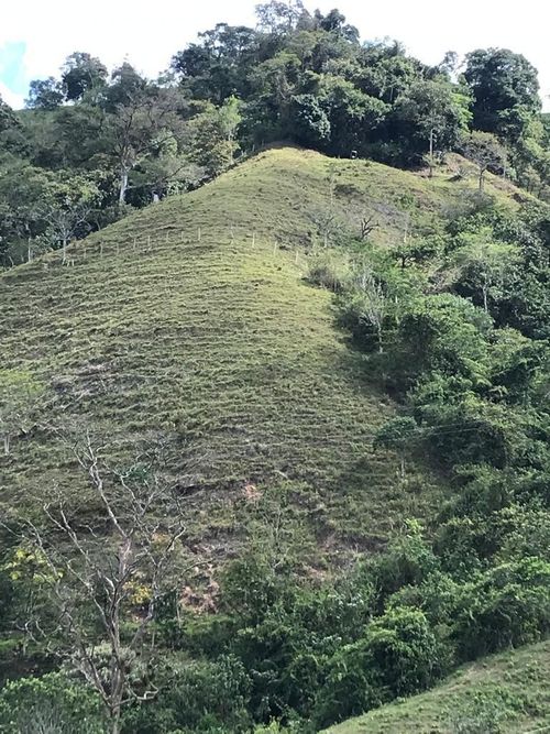 Finca en Venta en Anserma - Miniatura 2