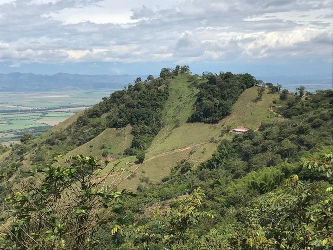 Finca en Venta en Anserma - Miniatura 3