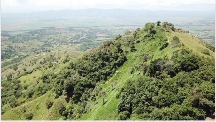 Finca en Venta en Anserma - Miniatura 4