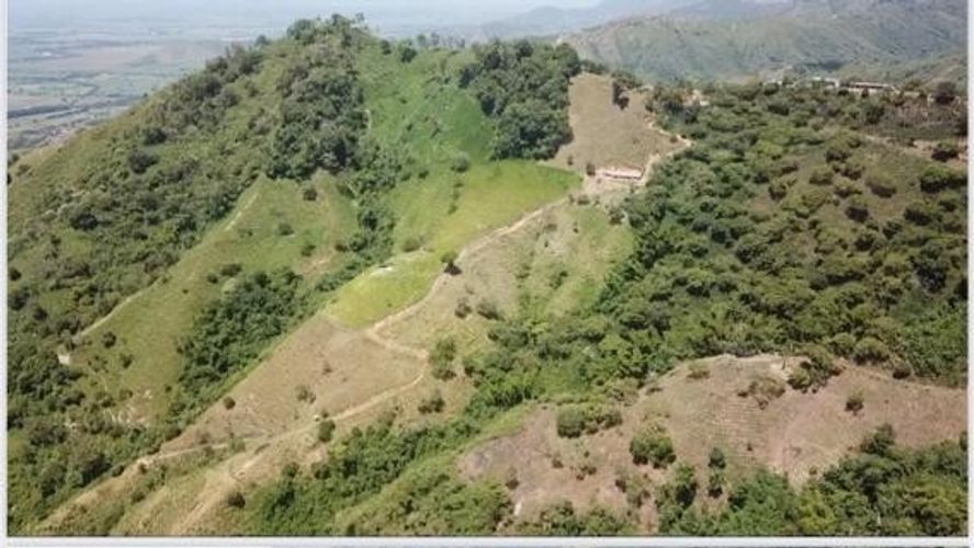 Finca en Venta en Anserma - Miniatura 5