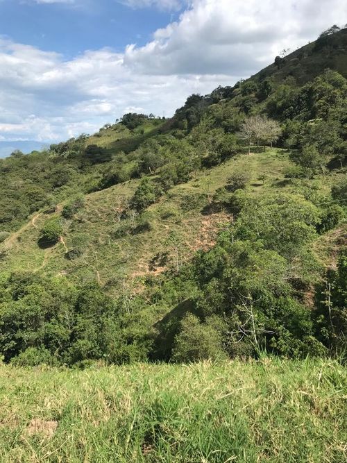 Finca en Venta en Anserma - Miniatura 7