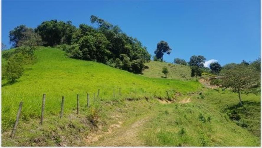 Finca en Venta en Anserma - Miniatura 8