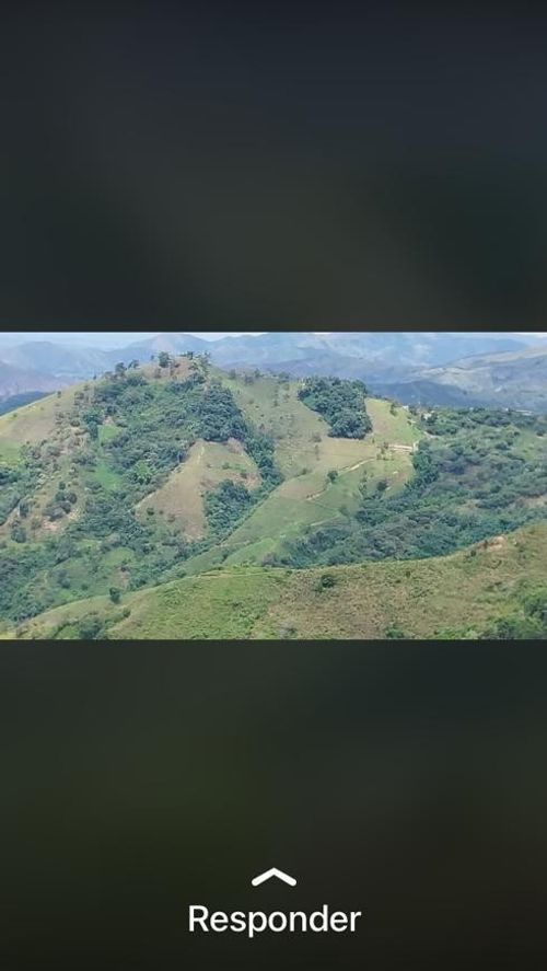 Finca en Venta en Anserma - Miniatura 10