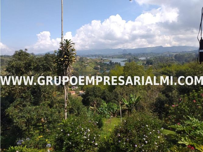 Apartaestudio en Venta en Peñol - Miniatura 25