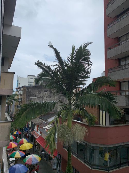 Apartaestudio en Arriendo en Sector plaza de bolivar, Pereira - Miniatura 10