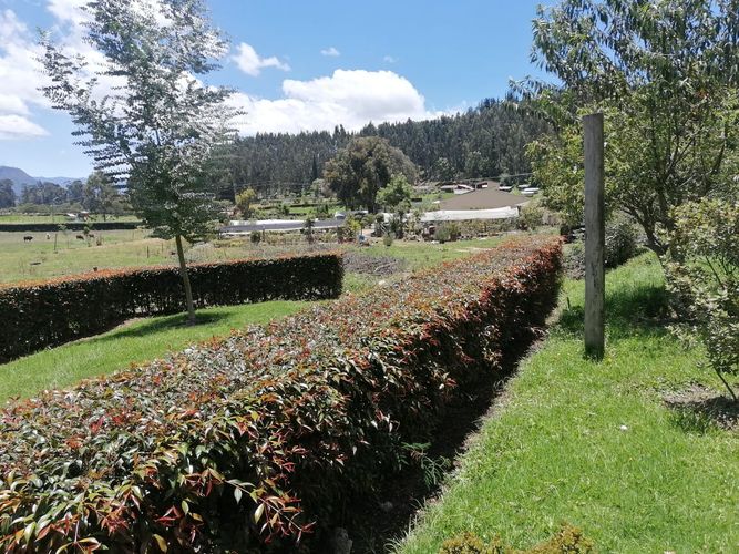 Finca en Arriendo en Hatogrande, Sopó - Imagen 1