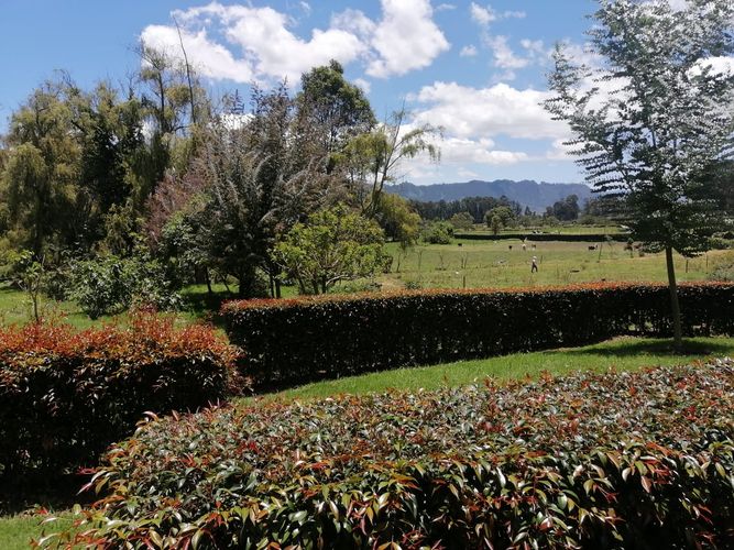 Finca en Arriendo en Hatogrande, Sopó - Miniatura 2