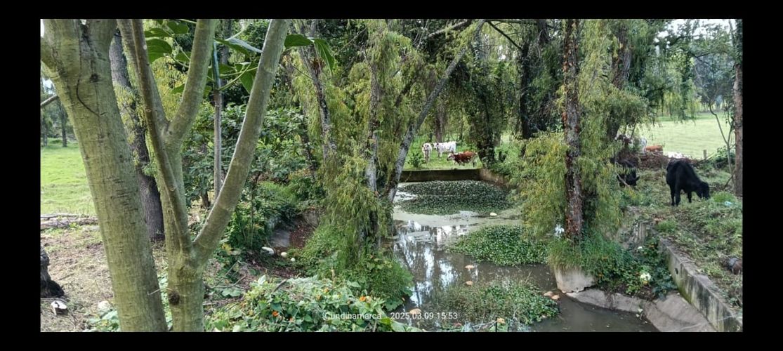 Finca en Arriendo en Hatogrande, Sopó - Miniatura 5