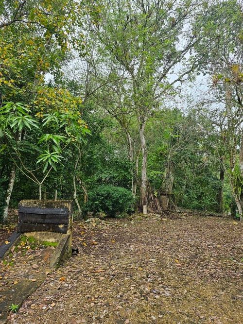 Finca en venta en La chica, Tierralta - Miniatura 2