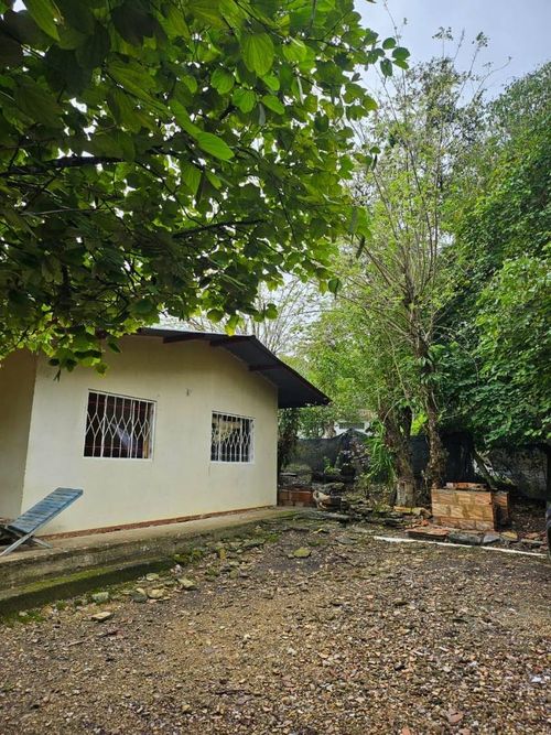 Finca en venta en La chica, Tierralta - Miniatura 3