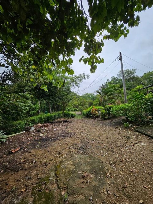 Finca en venta en La chica, Tierralta - Miniatura 4