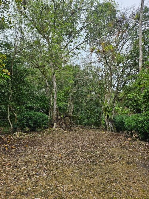 Finca en venta en La chica, Tierralta - Miniatura 9