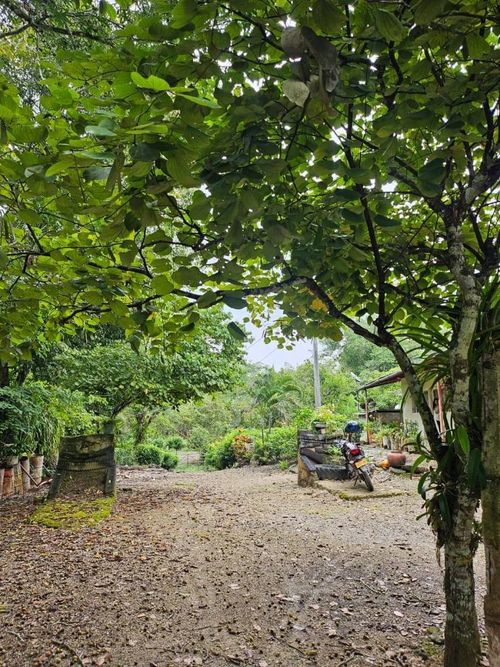 Finca en venta en La chica, Tierralta - Miniatura 13