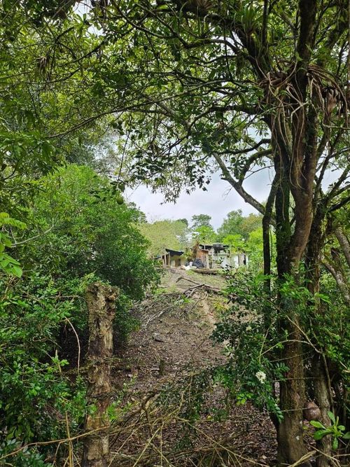 Finca en venta en La chica, Tierralta - Miniatura 14