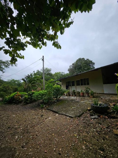 Finca en venta en La chica, Tierralta - Miniatura 15