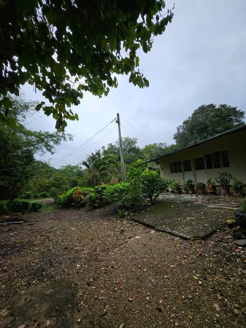 Finca en venta en La chica, Tierralta - Miniatura 16