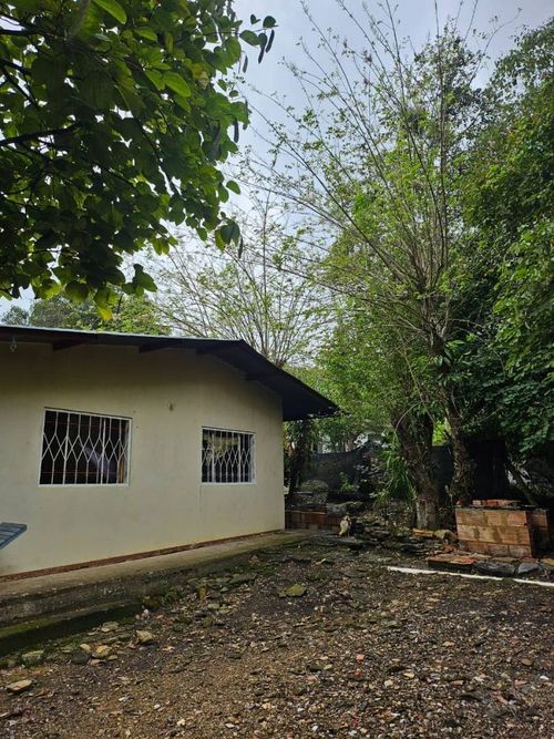 Finca en venta en La chica, Tierralta - Miniatura 20